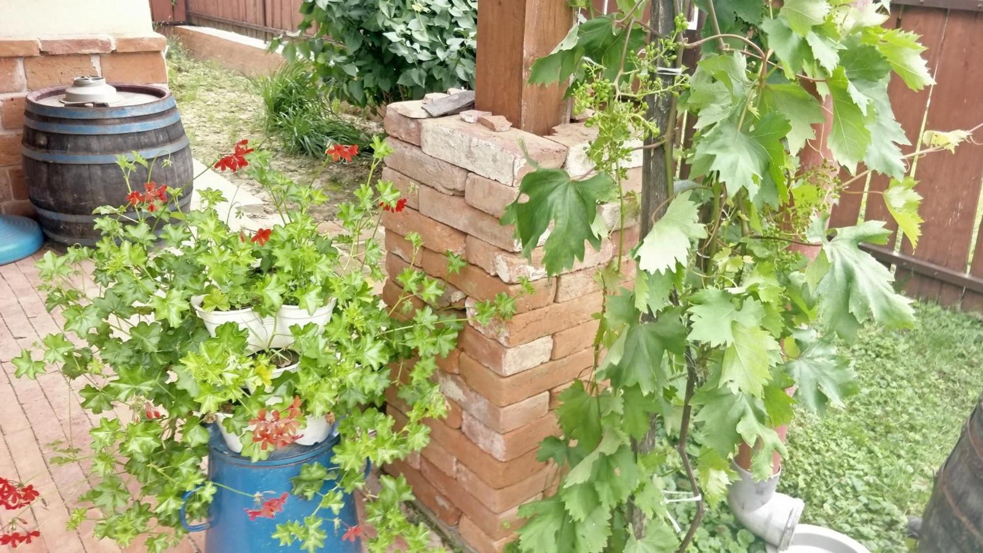 Öregház vendégház Lakhegy Exterior foto